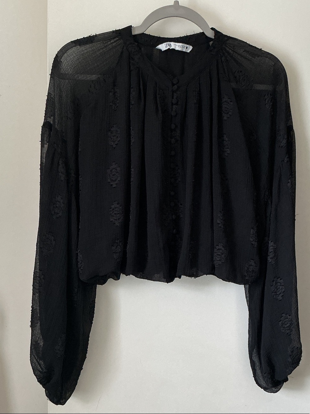 Zara Black Sheer Button-Front Balloon Sleeve Blouse